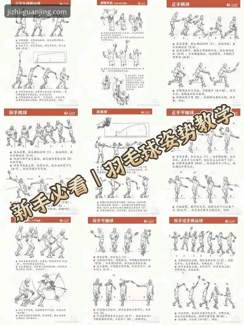 冠竞体育使用教程深度解析：从入门到精通的全流程指南
